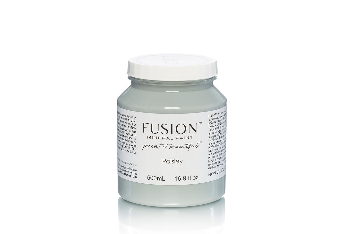 Fusion Paint Paisley