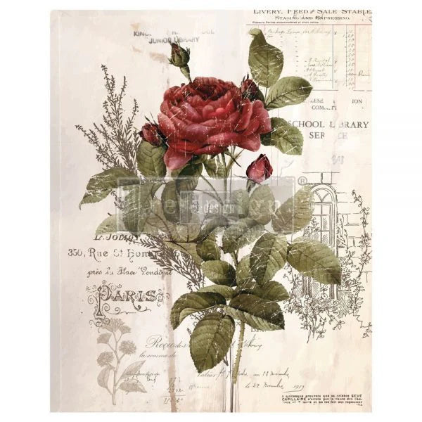 Redesign Transfer Botanical Rose DISC