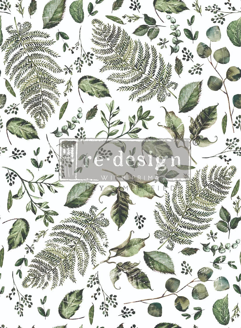 Redesign Transfer Fern Woods DISC