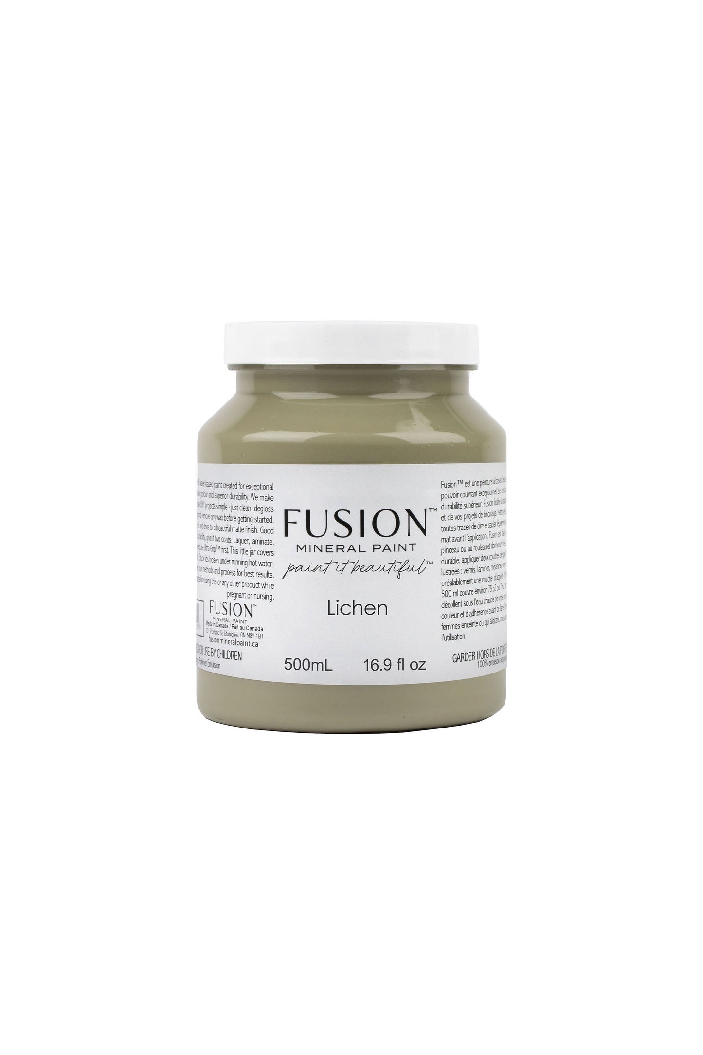 Fusion Paint Lichen