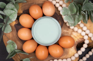 Dixie Belle Paint Vintage Duck Egg