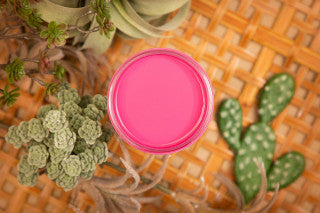 Dixie Belle Silk Paint Prickly Pear